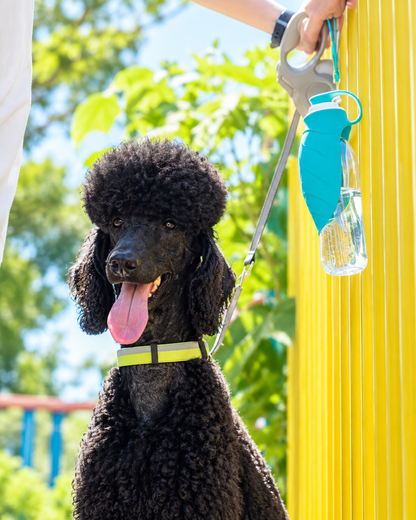 Botella de agua portátil para perros 580ml